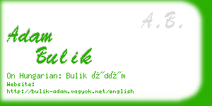 adam bulik business card